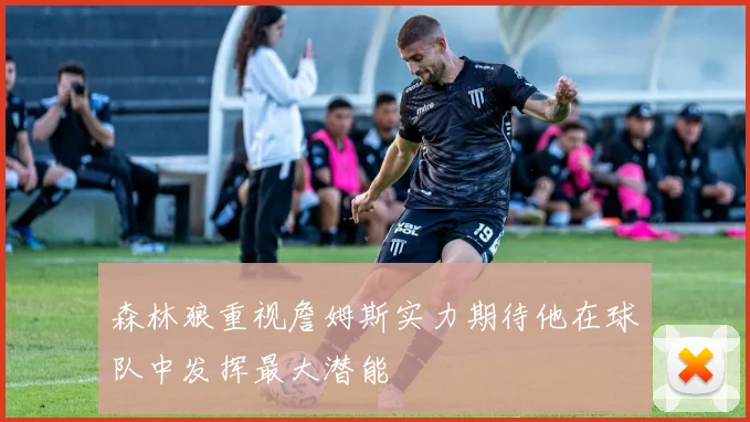 森林狼重视詹姆斯实力期待他在球队中发挥最大潜能