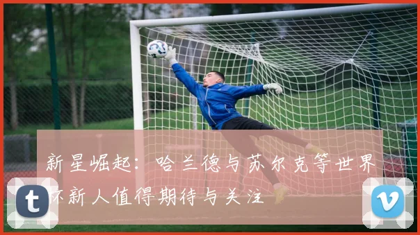 新星崛起：哈兰德与苏尔克等世界杯新人值得期待与关注