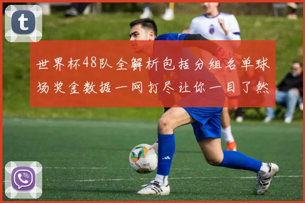 世界杯48队全解析包括分组名单球场奖金数据一网打尽让你一目了然